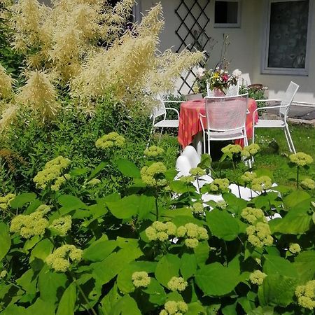 Secret Garden House In The Center Of Sigulda Villa Exteriör bild