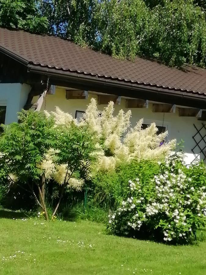 Secret Garden House In The Center Of Sigulda Villa Exteriör bild